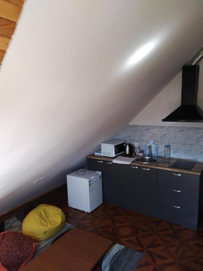Family Hotel Mtamta Gudauri Kültér fotó