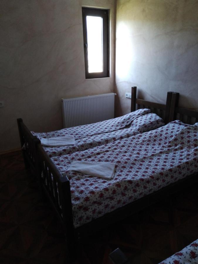 Family Hotel Mtamta Gudauri Kültér fotó