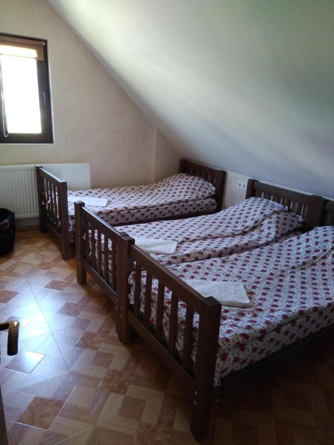 Family Hotel Mtamta Gudauri Kültér fotó