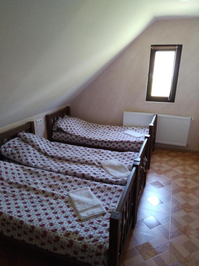 Family Hotel Mtamta Gudauri Kültér fotó