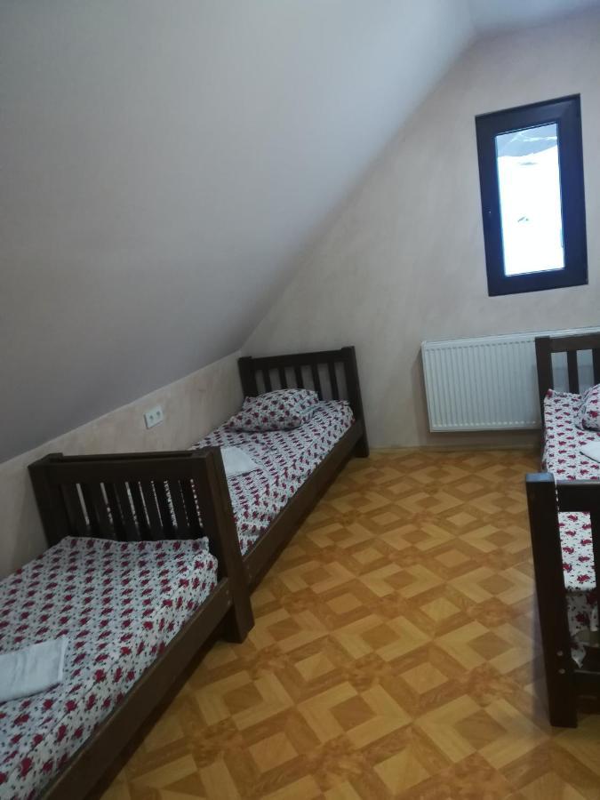 Family Hotel Mtamta Gudauri Kültér fotó